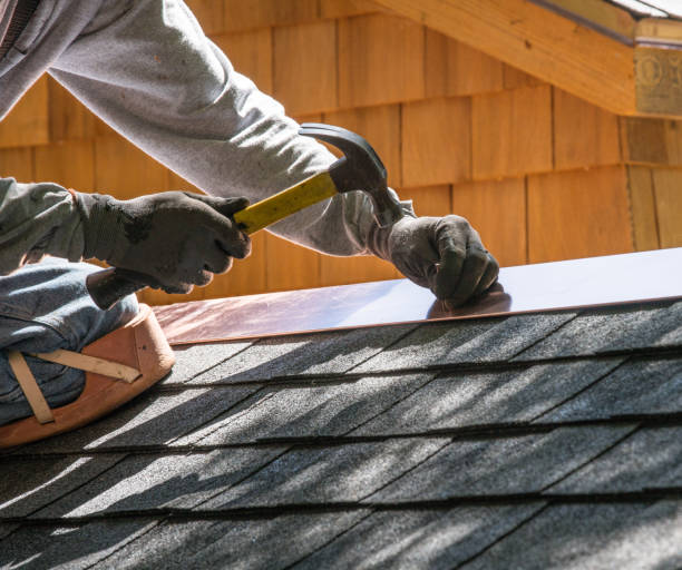 Best Metal Roofing Contractor  in Shelbyville, IN